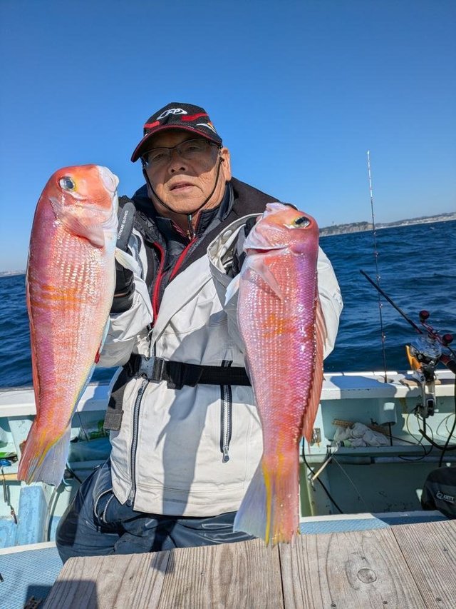 アマダイ(アカアマダイ)