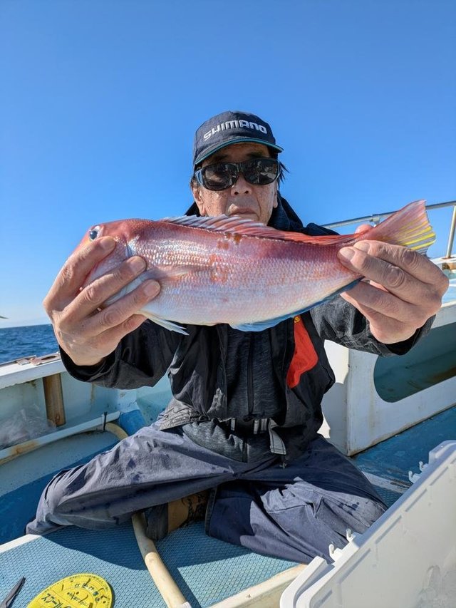 アマダイ(アカアマダイ)