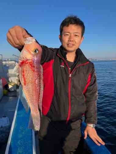 アマダイ(アカアマダイ)