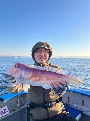 アマダイ(アカアマダイ)