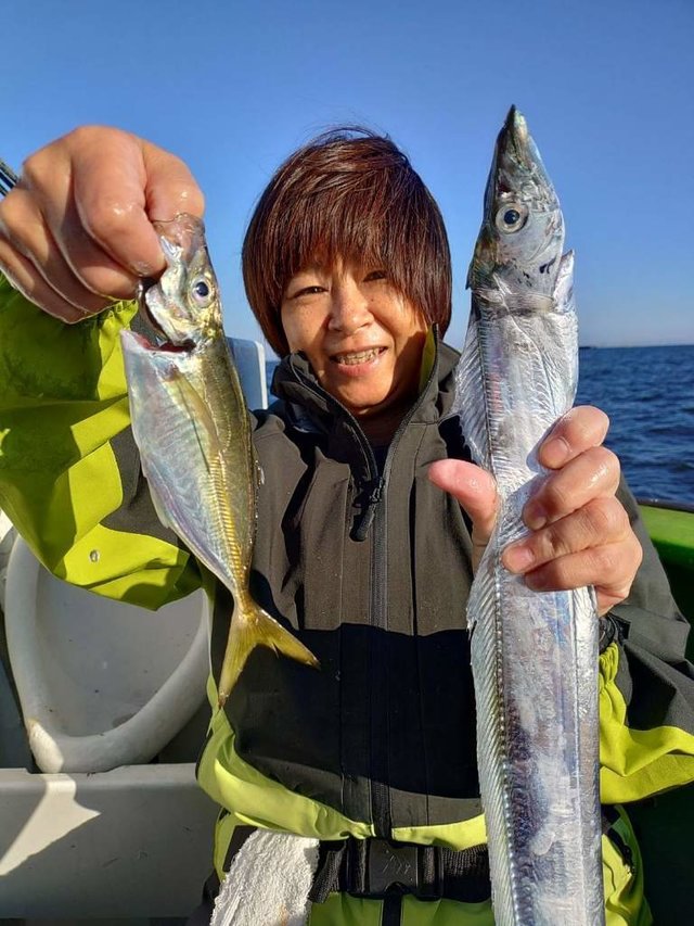 アジ(マアジ)・タチウオ