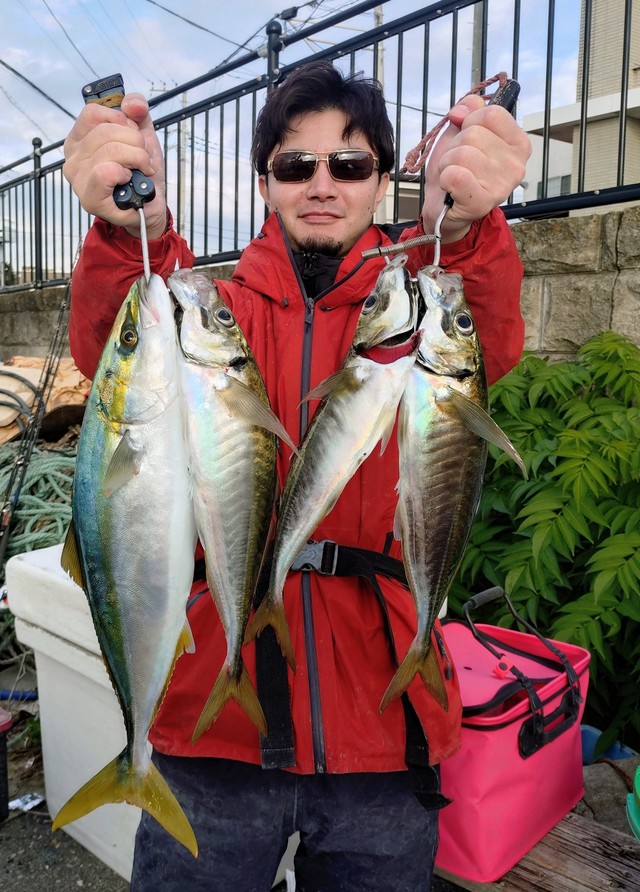 アジ(マアジ)・イナダ(ブリ)