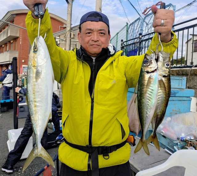 アジ(マアジ)・イナダ(ブリ)