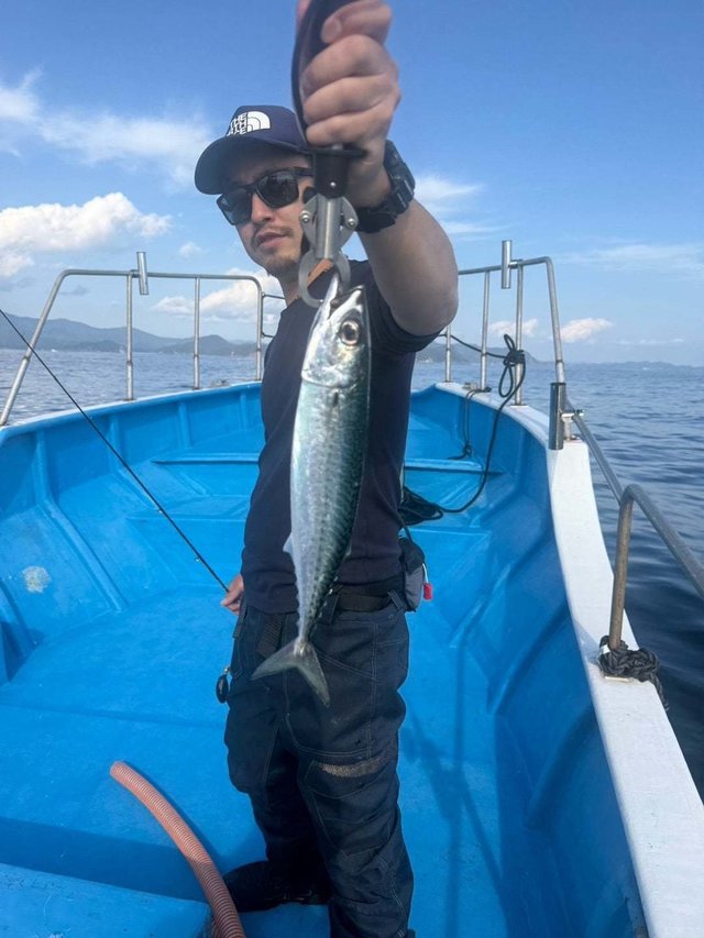 サバ(ゴマサバ)