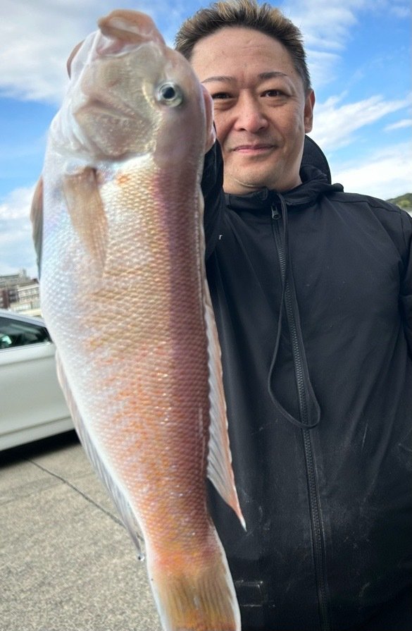 アマダイ(アカアマダイ)