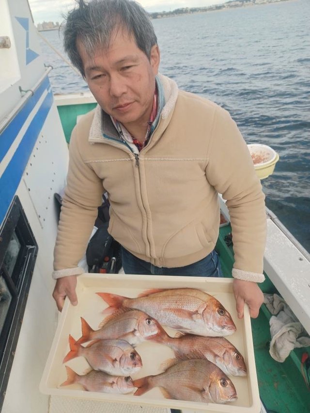 マダイ・ハナダイ(チダイ)