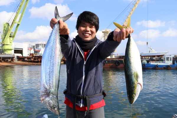 ハマチ(ブリ)・サゴシ(サワラ)