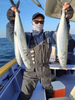 サゴシ(サワラ)