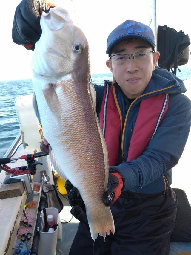 アマダイ(アカアマダイ)