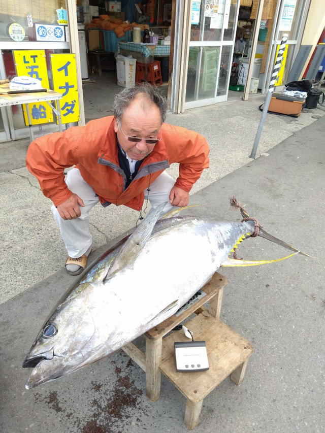 ホンガツオ(カツオ)