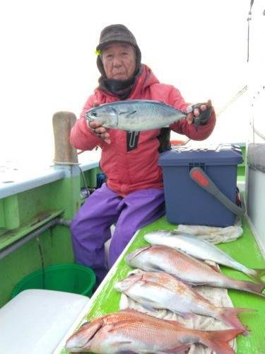 マダイ・イナダ(ブリ)