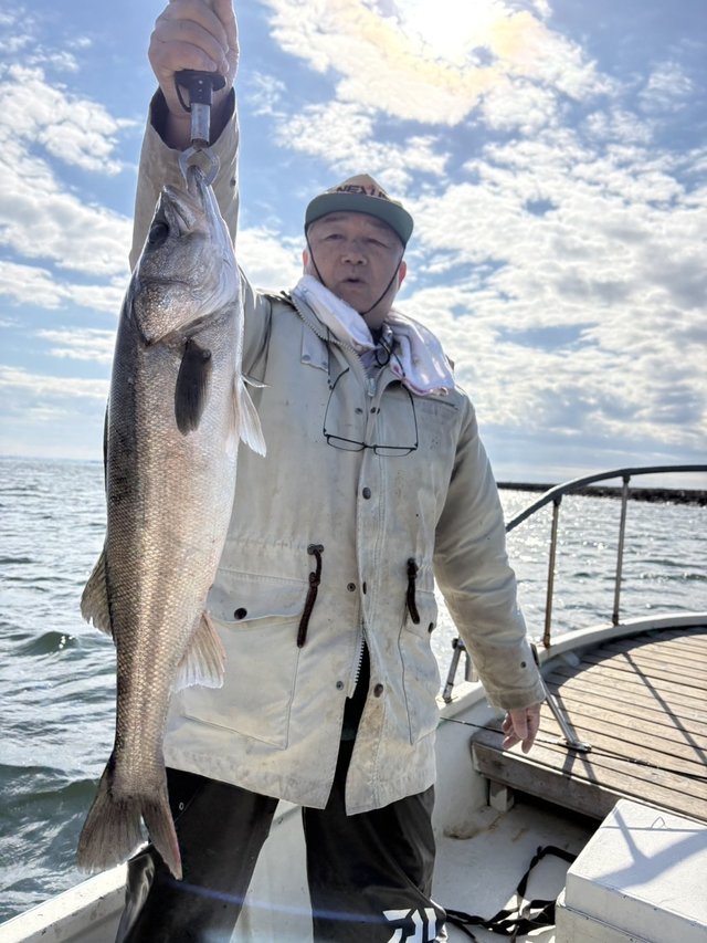 シーバス(スズキ)