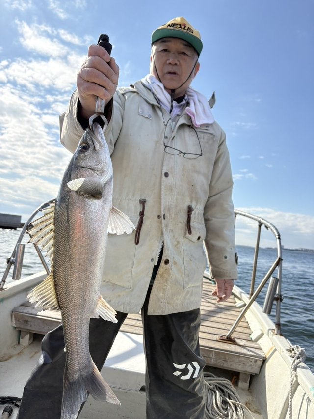 シーバス(スズキ)