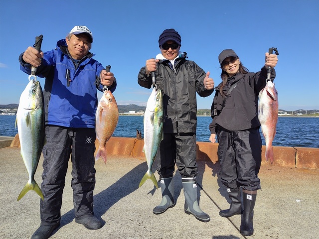 マダイ・ワラサ(ブリ)