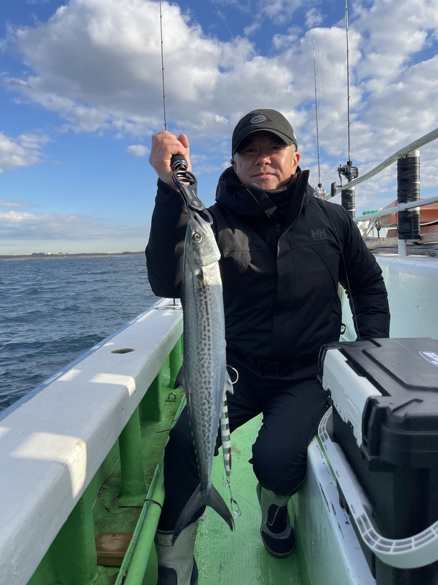 サゴシ(サワラ)