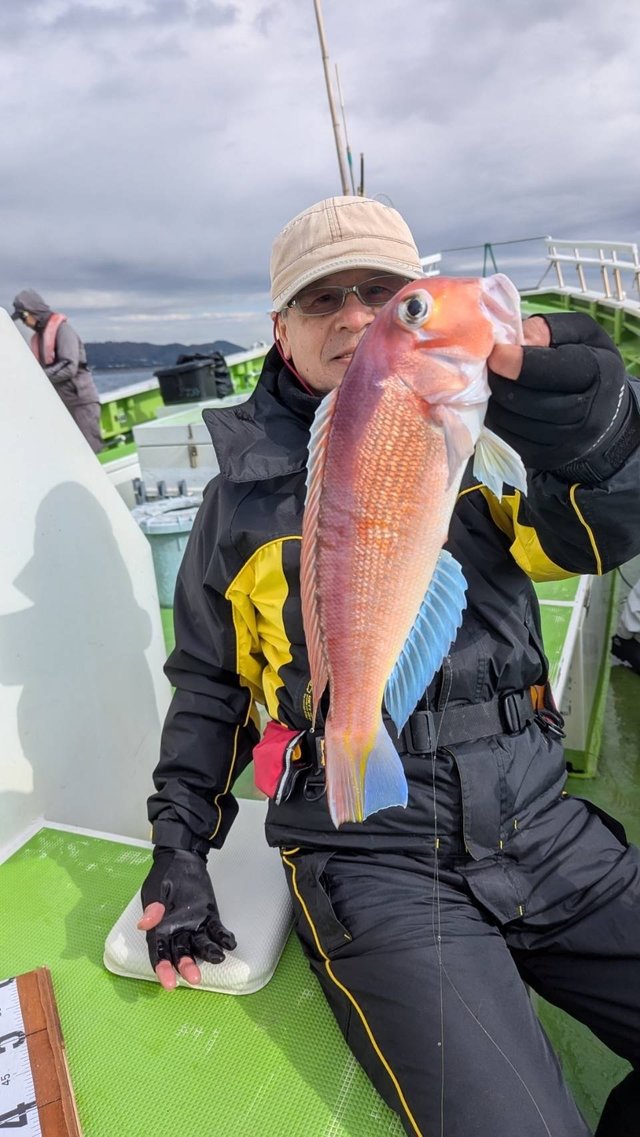 アマダイ(アカアマダイ)