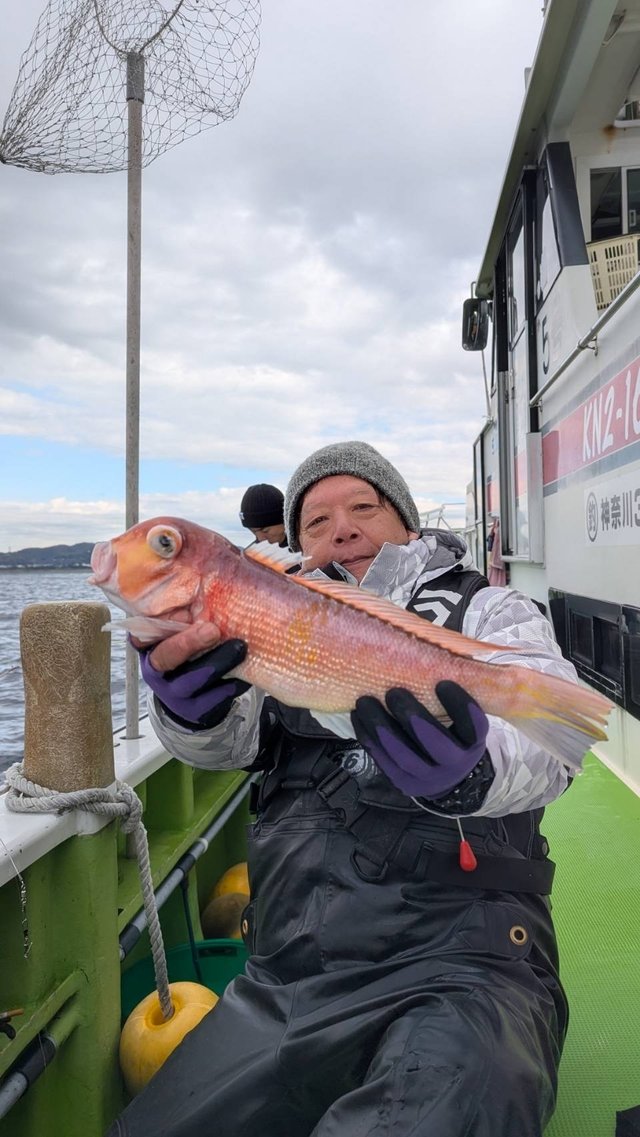 アマダイ(アカアマダイ)