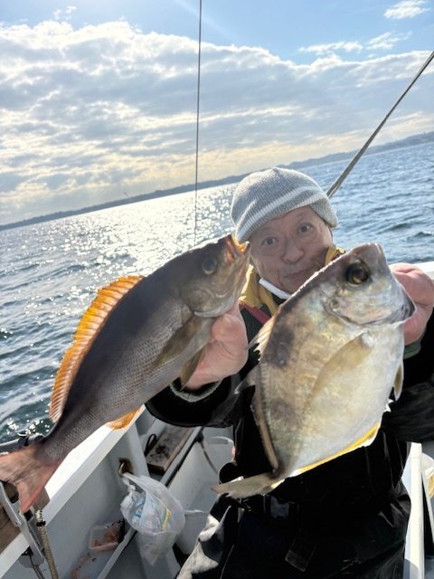 カイワリ・イサキ