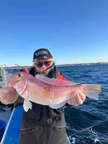 アマダイ(アカアマダイ)