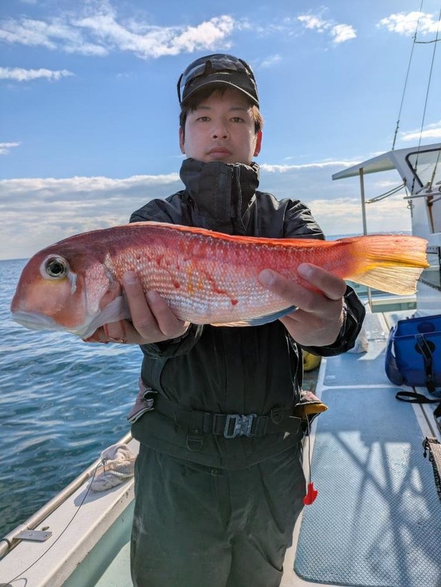 アマダイ(アカアマダイ)