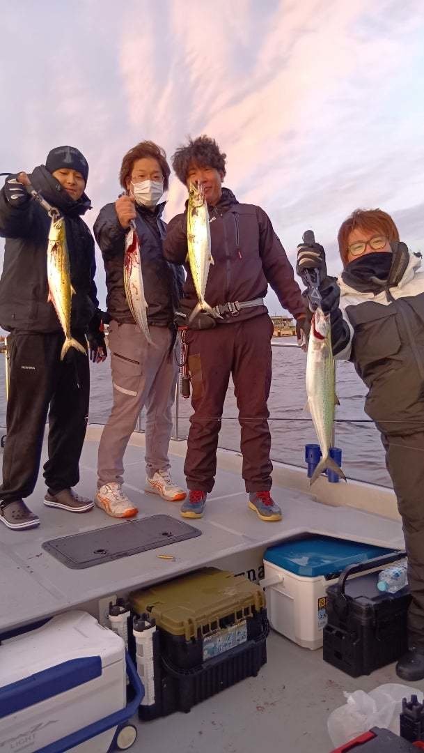 サゴシ(サワラ)