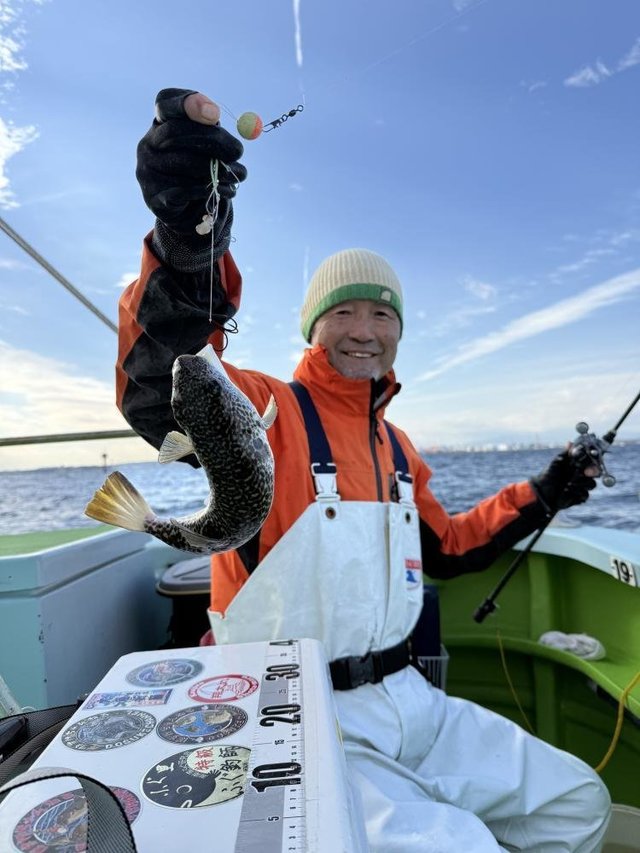 フグ(ショウサイフグ)