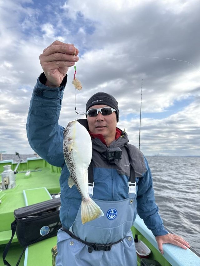 フグ(ショウサイフグ)