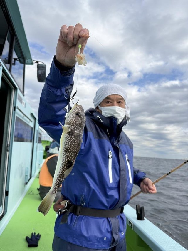 フグ(ショウサイフグ)