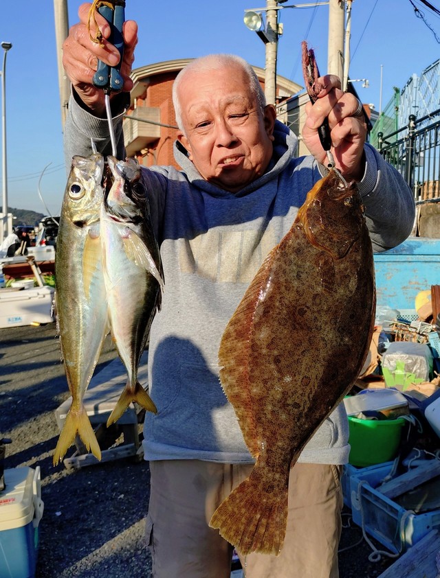 アジ(マアジ)・ヒラメ