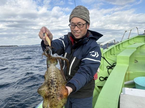 アオリ(アオリイカ)