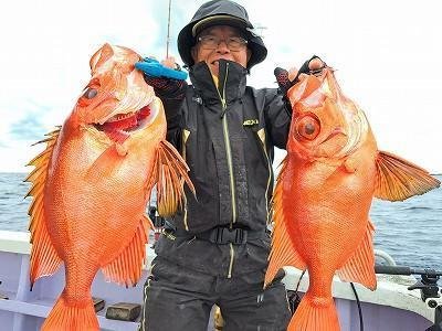 キントキ(チカメキントキ)