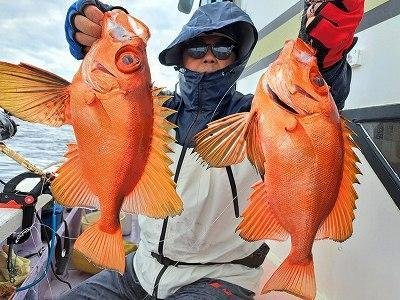 キントキ(チカメキントキ)