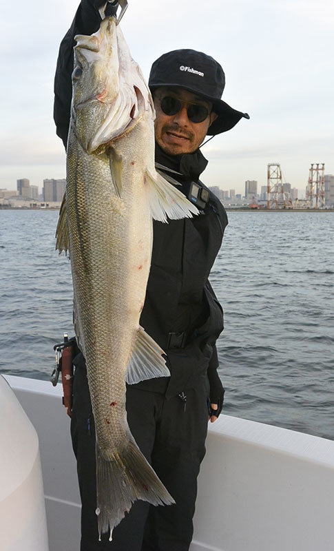 シーバス(スズキ)