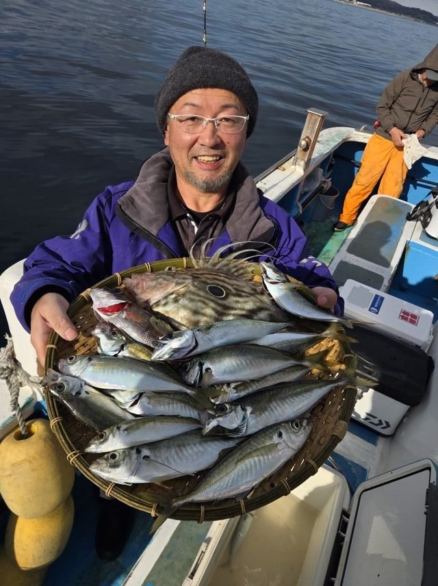 アジ(マアジ)・マトウダイ