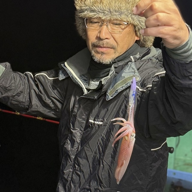 マルイカ(ケンサキイカ)