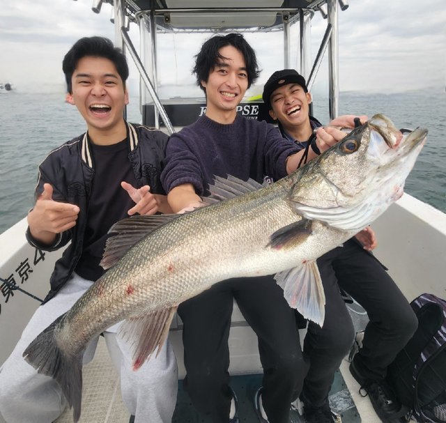 シーバス(スズキ)