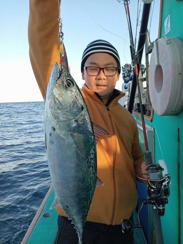 スマガツオ(スマ)