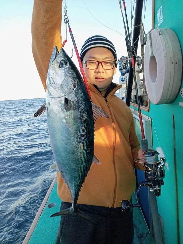 スマガツオ(スマ)