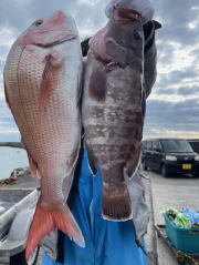 マダイ・マハタ