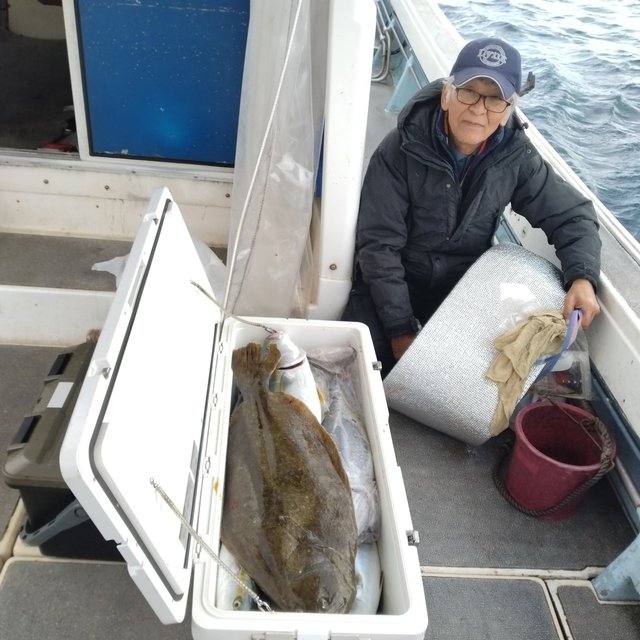 ヒラマサ・ヒラメ