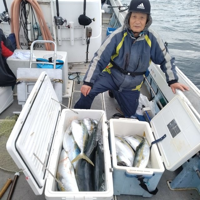 ヤズ(ブリ)・ヒラマサ