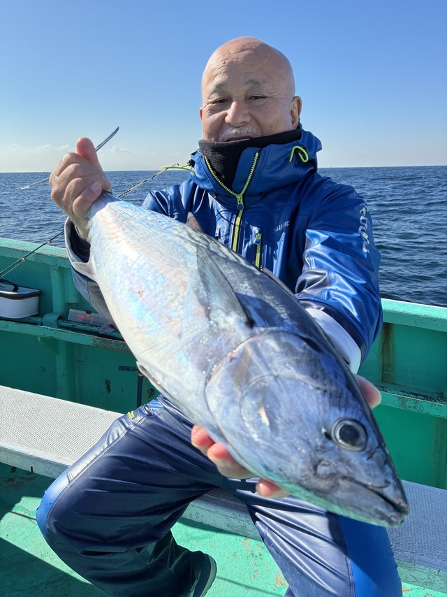 スマガツオ(スマ)