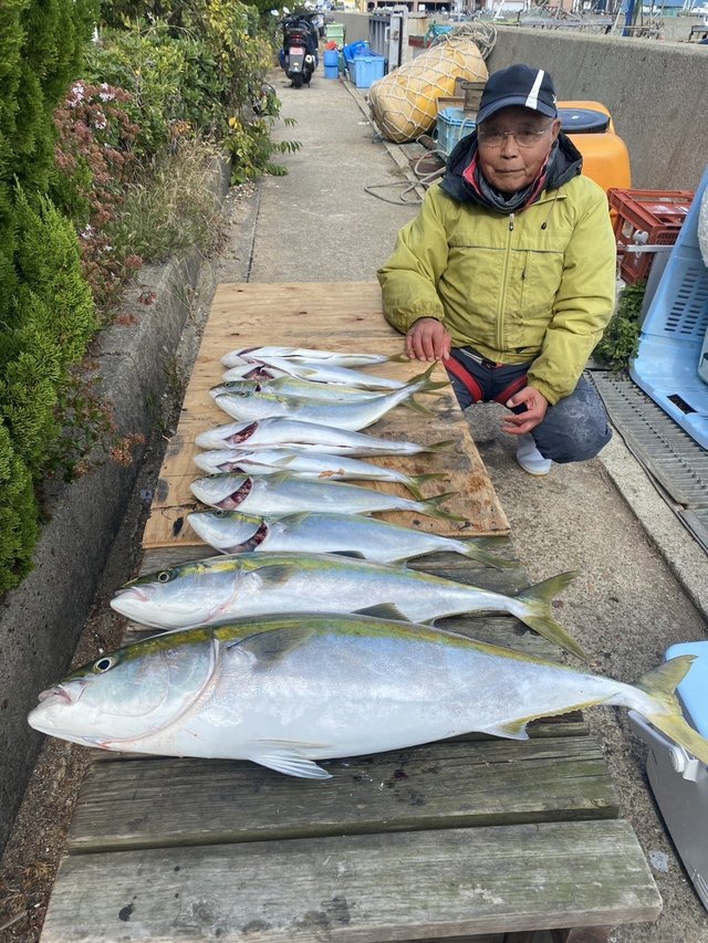 ブリ・メジロ(ブリ)