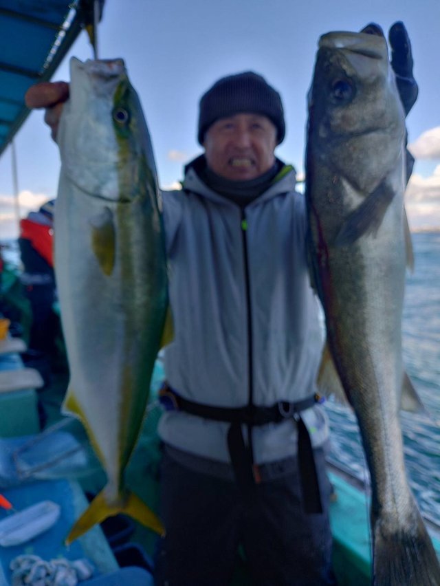 スズキ・メジロ(ブリ)