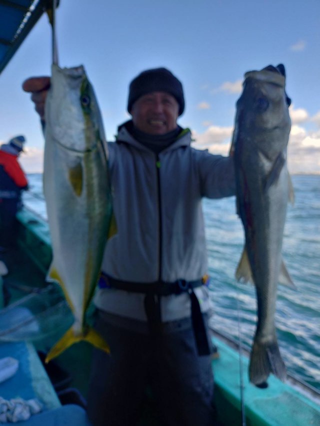 スズキ・メジロ(ブリ)