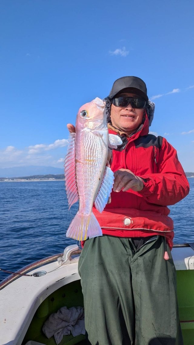 アマダイ(アカアマダイ)