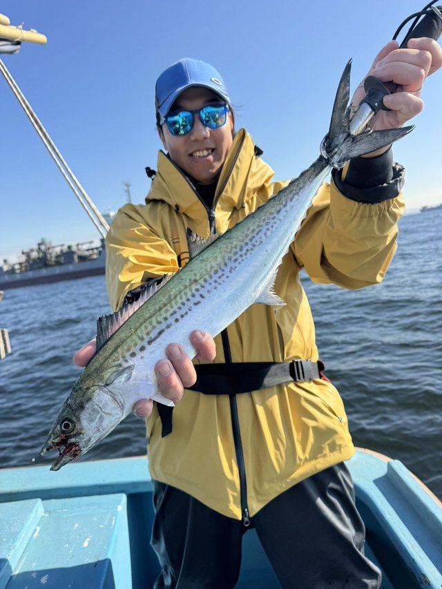 サゴシ(サワラ)