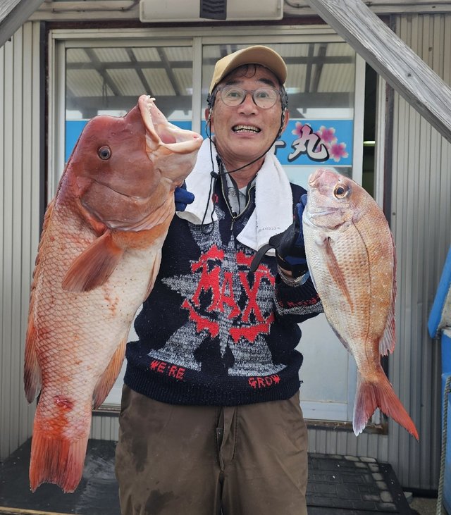 マダイ・カンダイ(コブダイ)