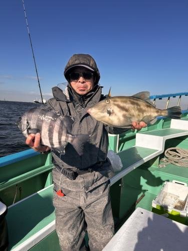 イシダイ・ウマズラ(ウマヅラハギ)