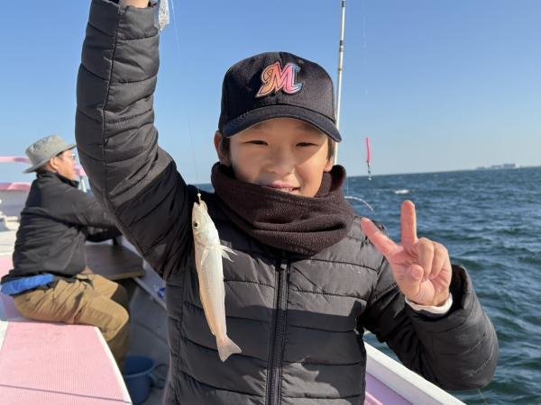 キス(シロギス)